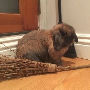 Meet your Posher, Allen